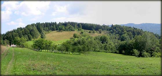 Panorama staze zdravlja