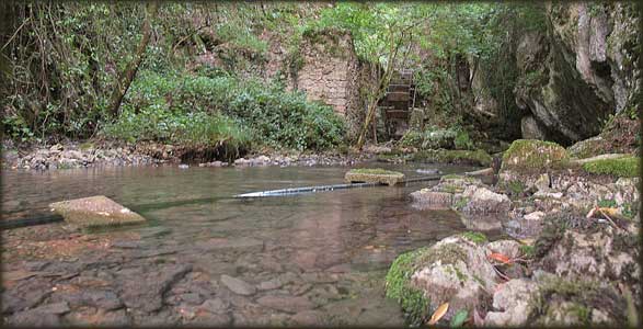 Na vrelu Crnog Timoka