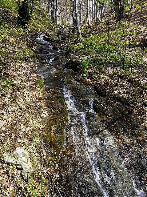 Jedan od potoka koji se sliva niz jugozapadne padine najvišeg vrha Kučaja, Velike Treste