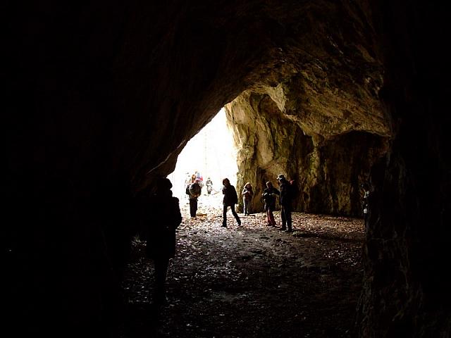 Iz pećine