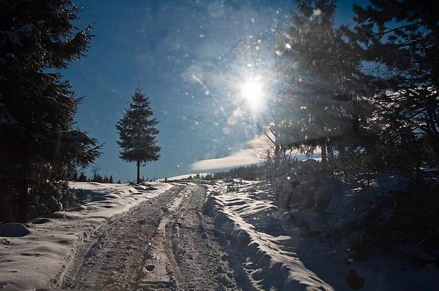 Snežni put na Sokolini