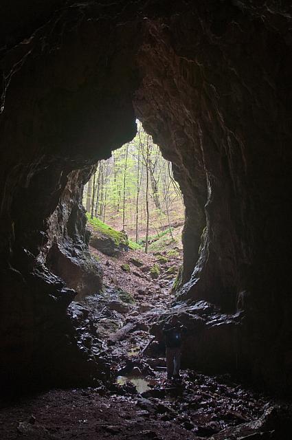 Iz Hajdučke pećine