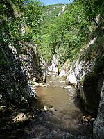 Prirodna riznica Đerdapa - kanjon Brnjičke reke