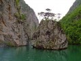 DSCF0714