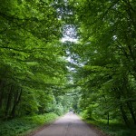 Fruška gora okupirana slobodom freebikera
