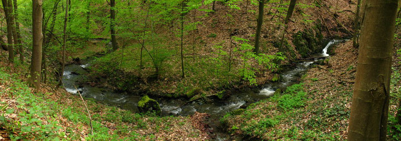 ナイキNike Air Jordan 1 Low Golf \"Shadow\" Traženje zlata u kvarcnim žilama