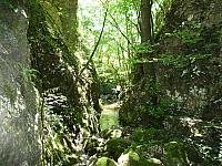 Uvertira za Brnjicu - poseta kratkom, ali slatkom tesnacu ispod Dubočke pećine